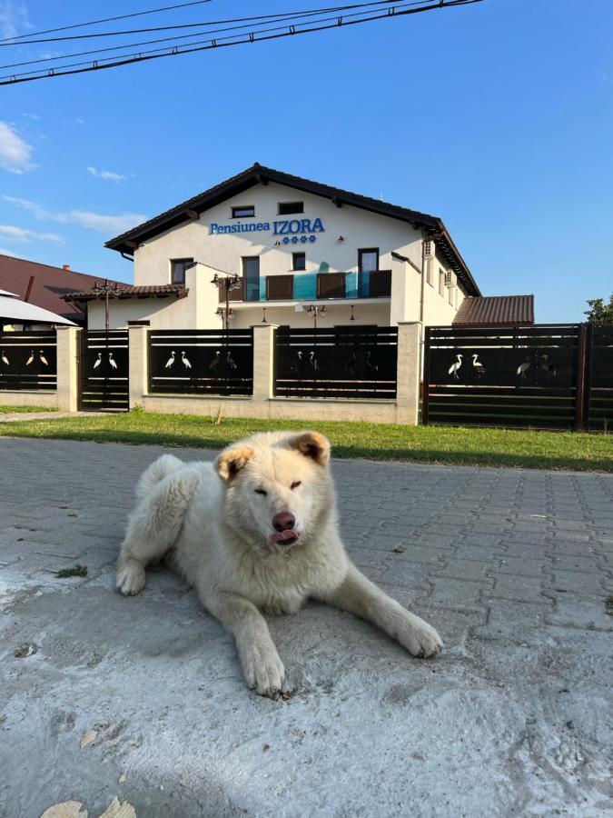 Pensiunea Izora Crișan Zewnętrze zdjęcie